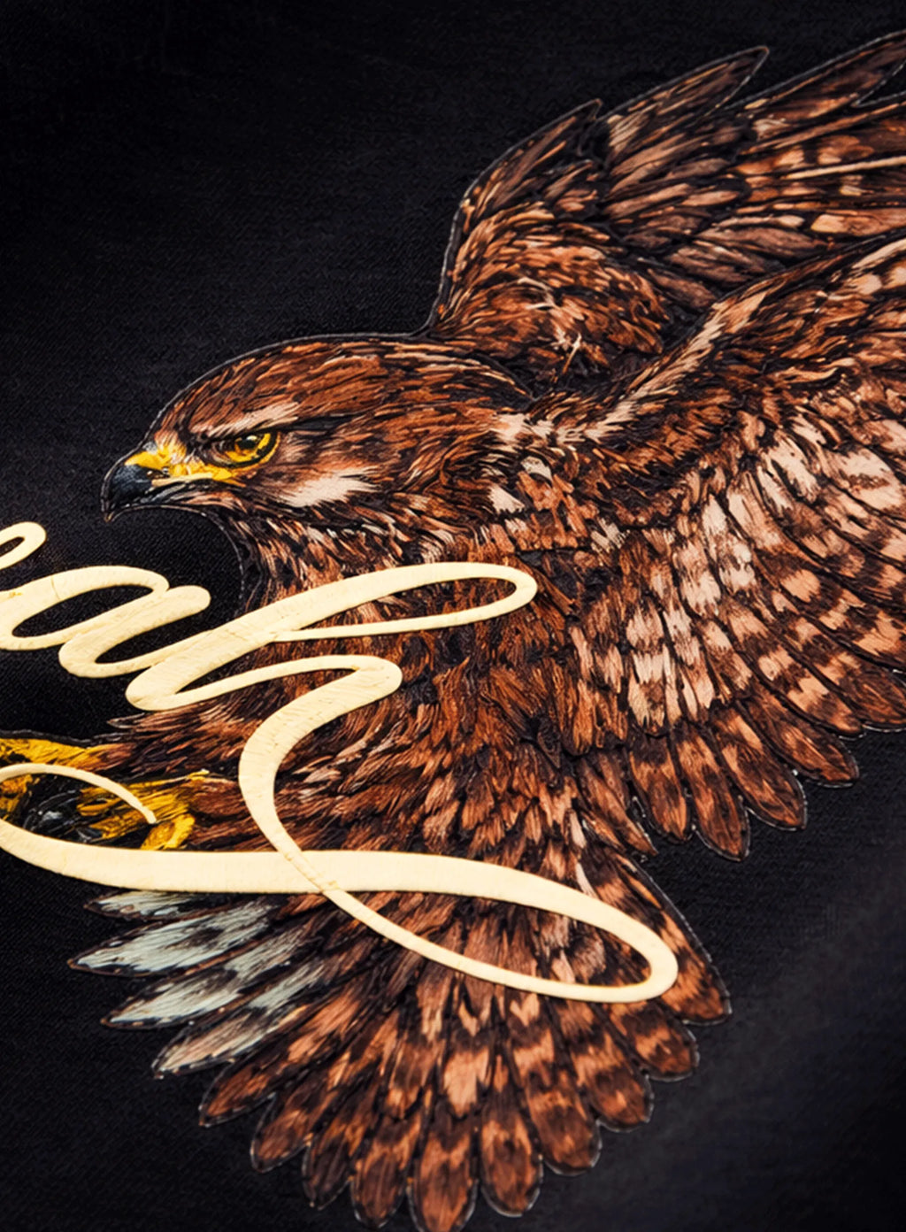 Eagle design with flowing script on a dark background