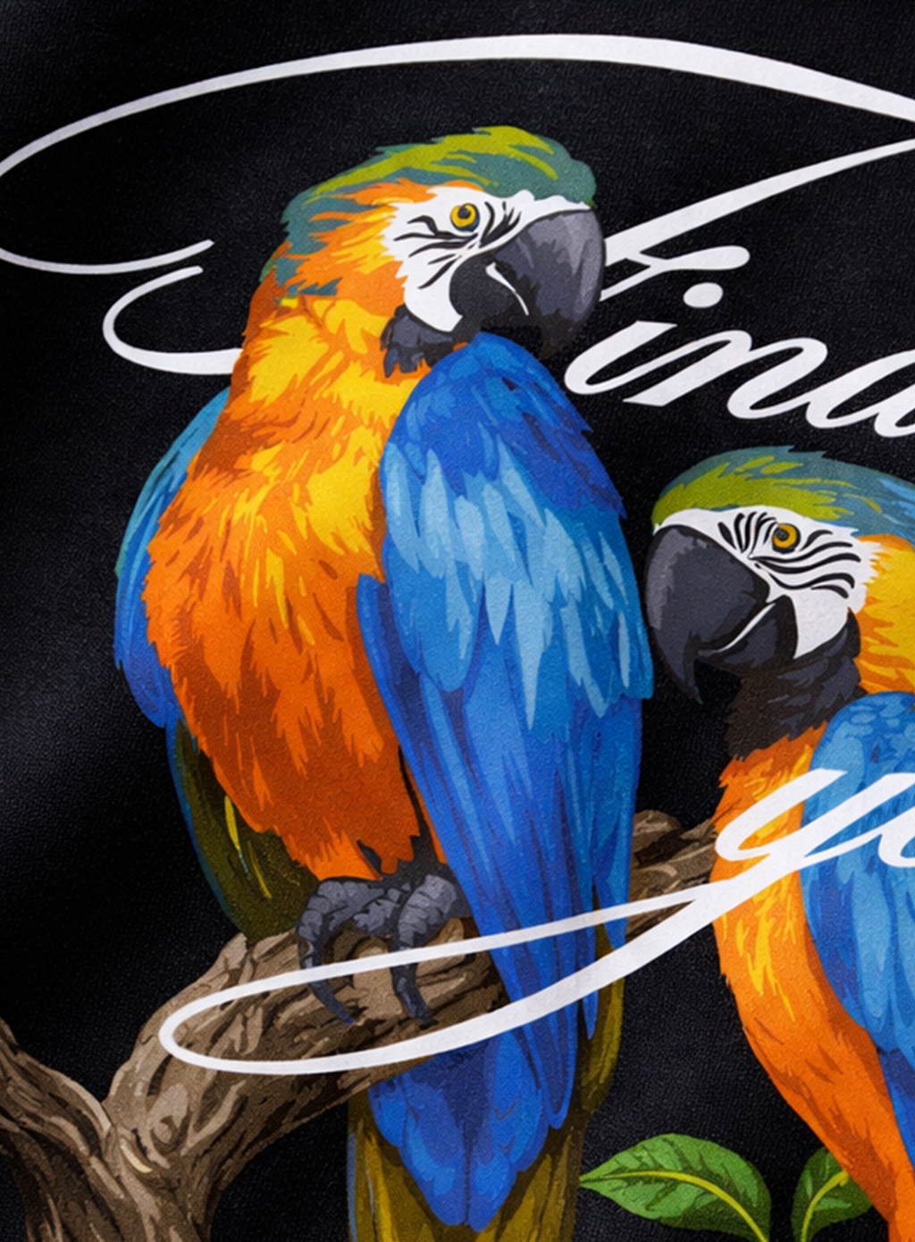 Macaw Signature