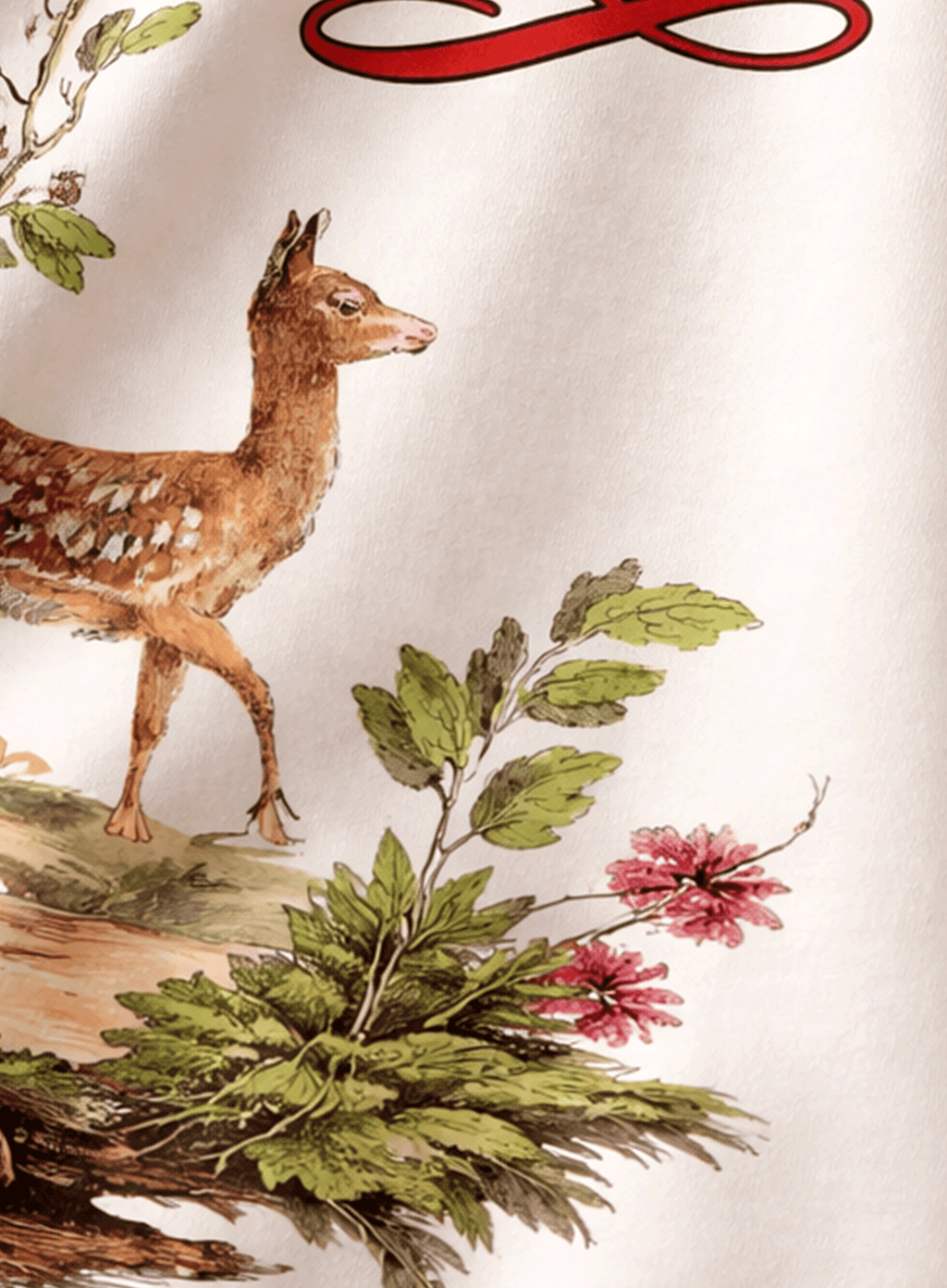 A Young Deer
