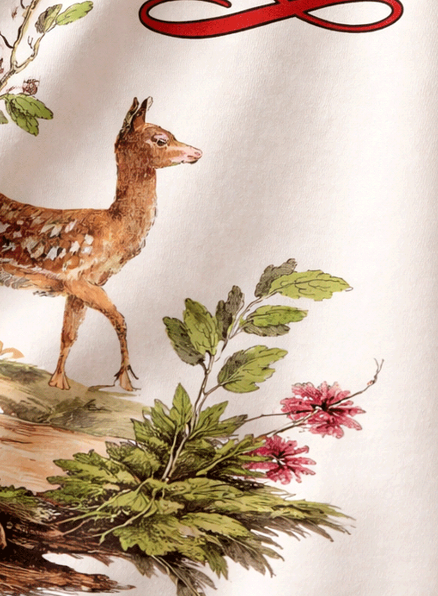 A Young Deer