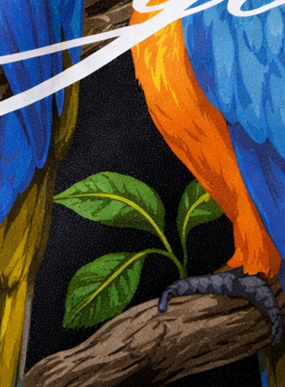 Close-up of a colorful parrot with blue and orange feathers on a branch.