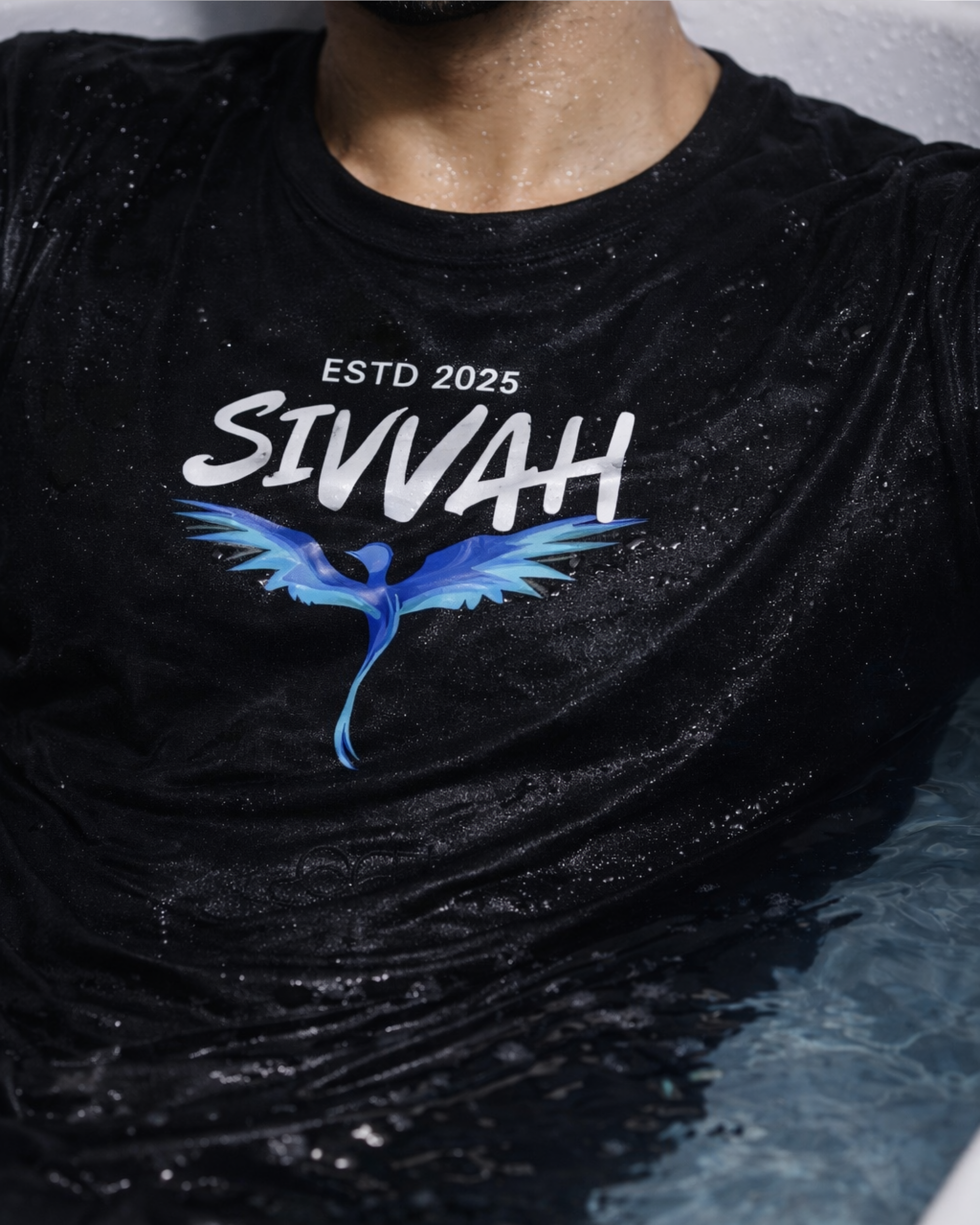 Blue Phoenix Drop Shoulder Oversized T-Shirt