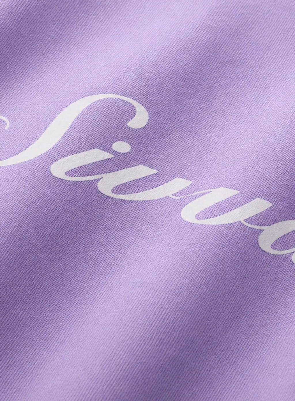 Lavender Dragonfly